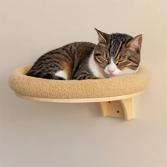 ARBRE A CHAT - Lits et Perchoirs PurrSleepâą - Coin du Matou