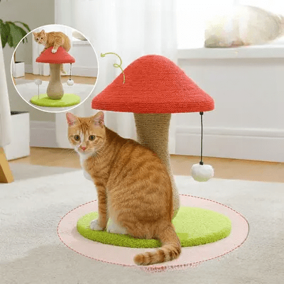Arbre à Chat - MushroomCatTower™ - Coin du Matou