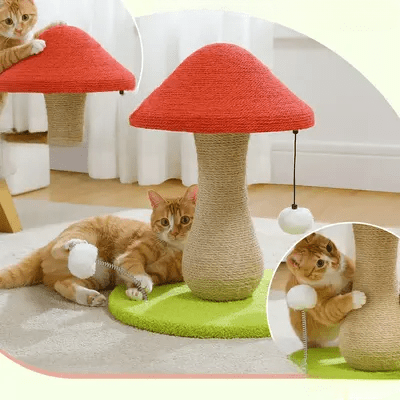 Arbre à Chat - MushroomCatTower™ - Coin du Matou