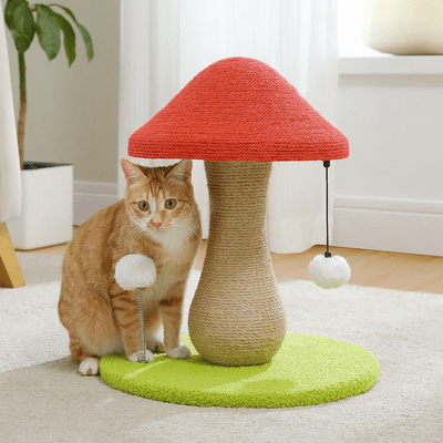 Arbre à Chat - MushroomCatTower™ - Coin du Matou