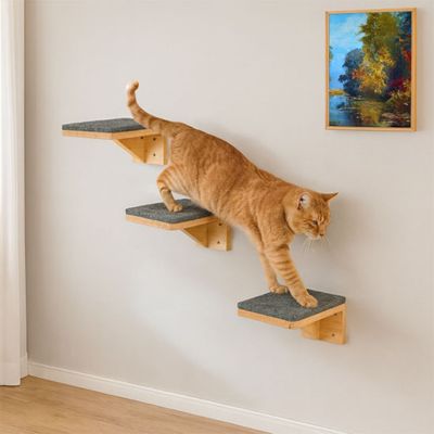 ARBRE A CHAT - Planchette™ - Coin du Matou