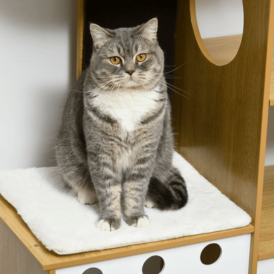 Arbre à Chat - PurrNestTree™ - Coin du Matou