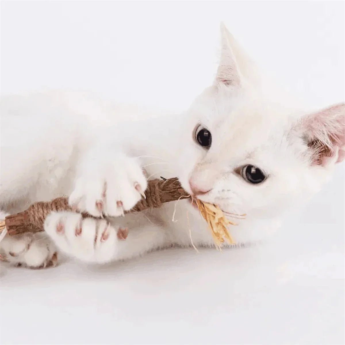 Bâton à mâcher pour chat - PurrStick™ - Coin du Matou