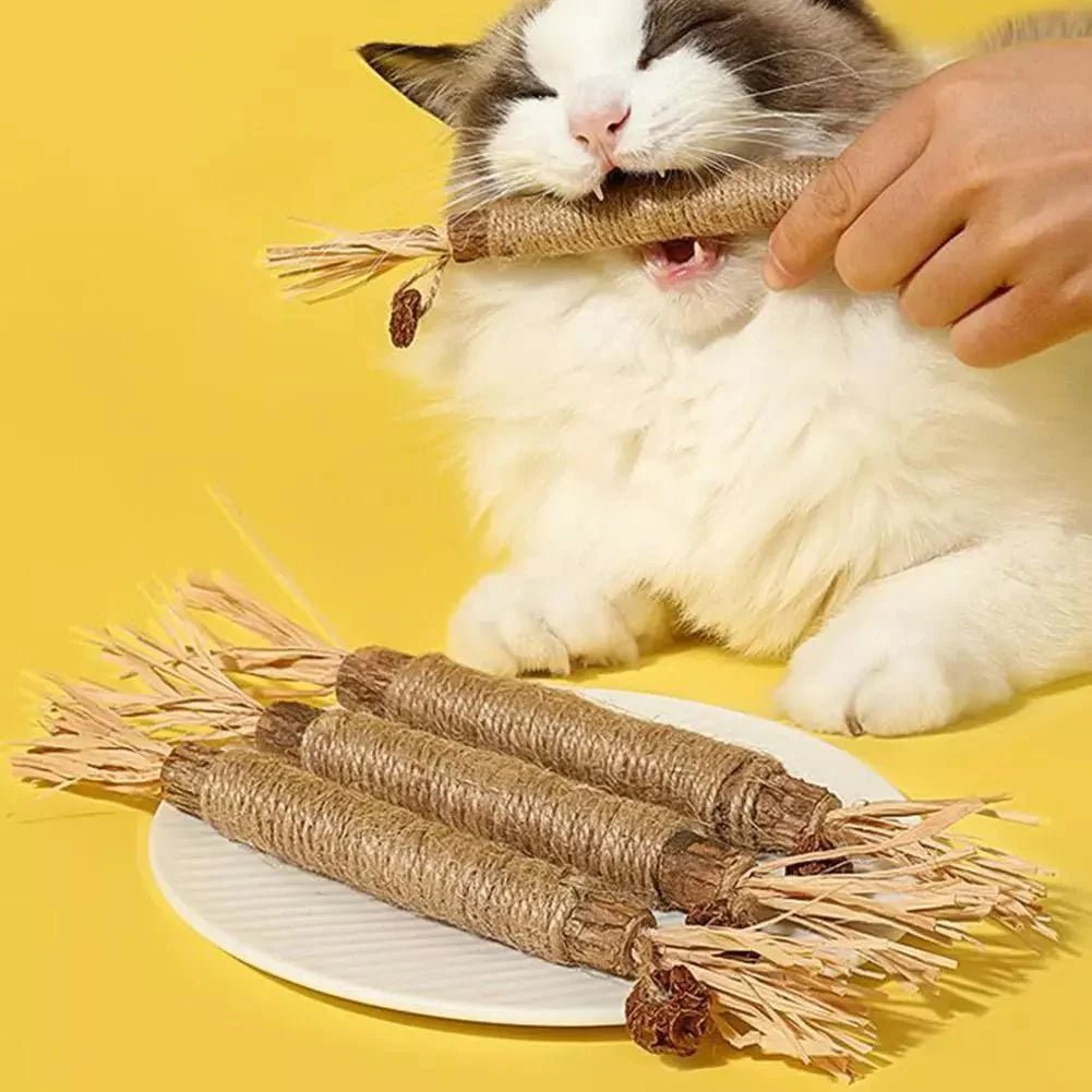 Bâton à mâcher pour chat - PurrStick™ - Coin du Matou