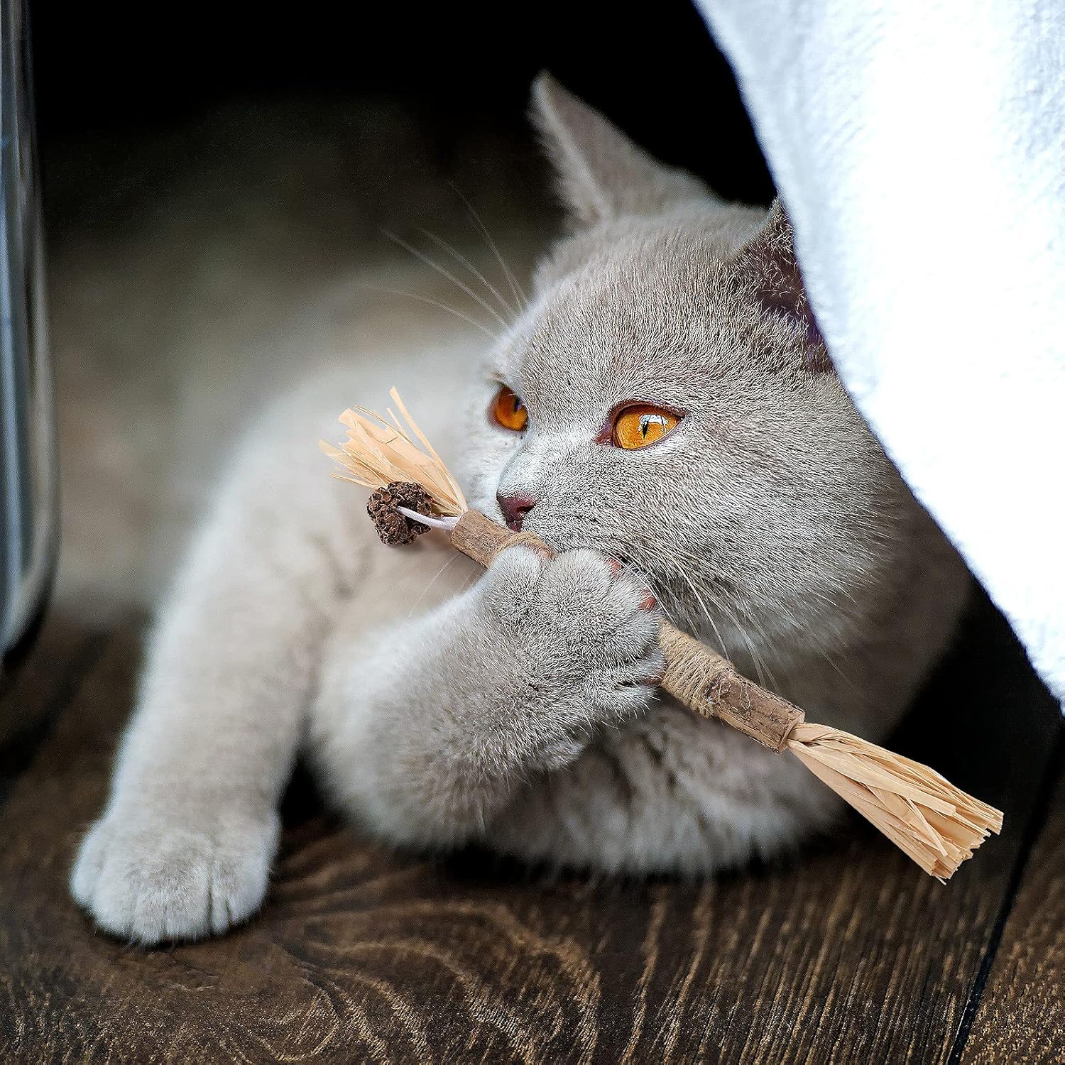 Bâton à mâcher pour chat - PurrStick™ - Coin du Matou