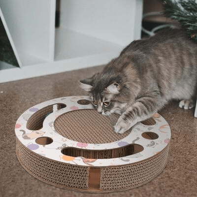 Grattoir Chat - PurrRoundScratcher™ - Chats & Balles - Coin du Matou