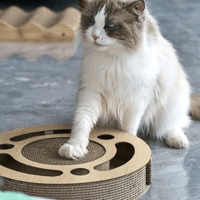 Grattoir Chat - PurrRoundScratcher™ - Minimaliste - Coin du Matou