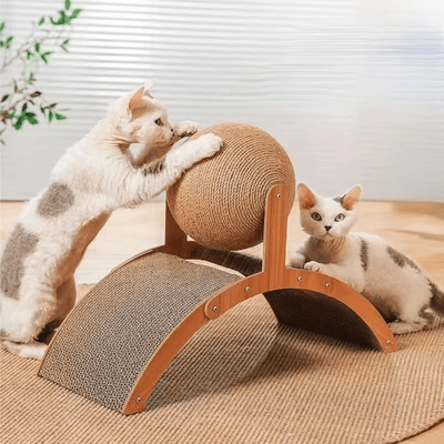 Griffoir pour Chat - Scratch&PlayCatBoard™ - Arc - Coin du Matou