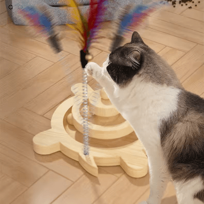 Jouet en Bois - SpinningCatToy™ - Grenouille - Coin du Matou