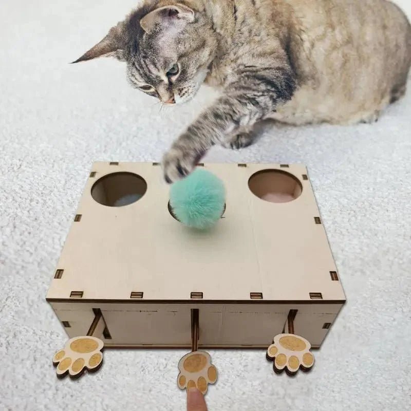 Jouet Interactif Chat - CatWhack™ - Coin du Matou