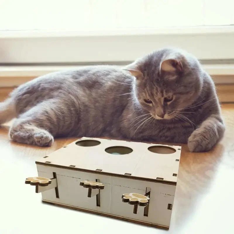 Jouet Interactif Chat - CatWhack™ - Coin du Matou