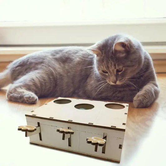 Jouet Interactif Chat - CatWhack™ - Coin du Matou