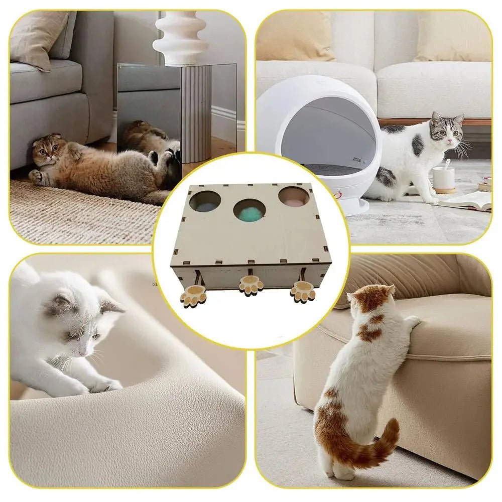 Jouet Interactif Chat - CatWhack™ - Coin du Matou