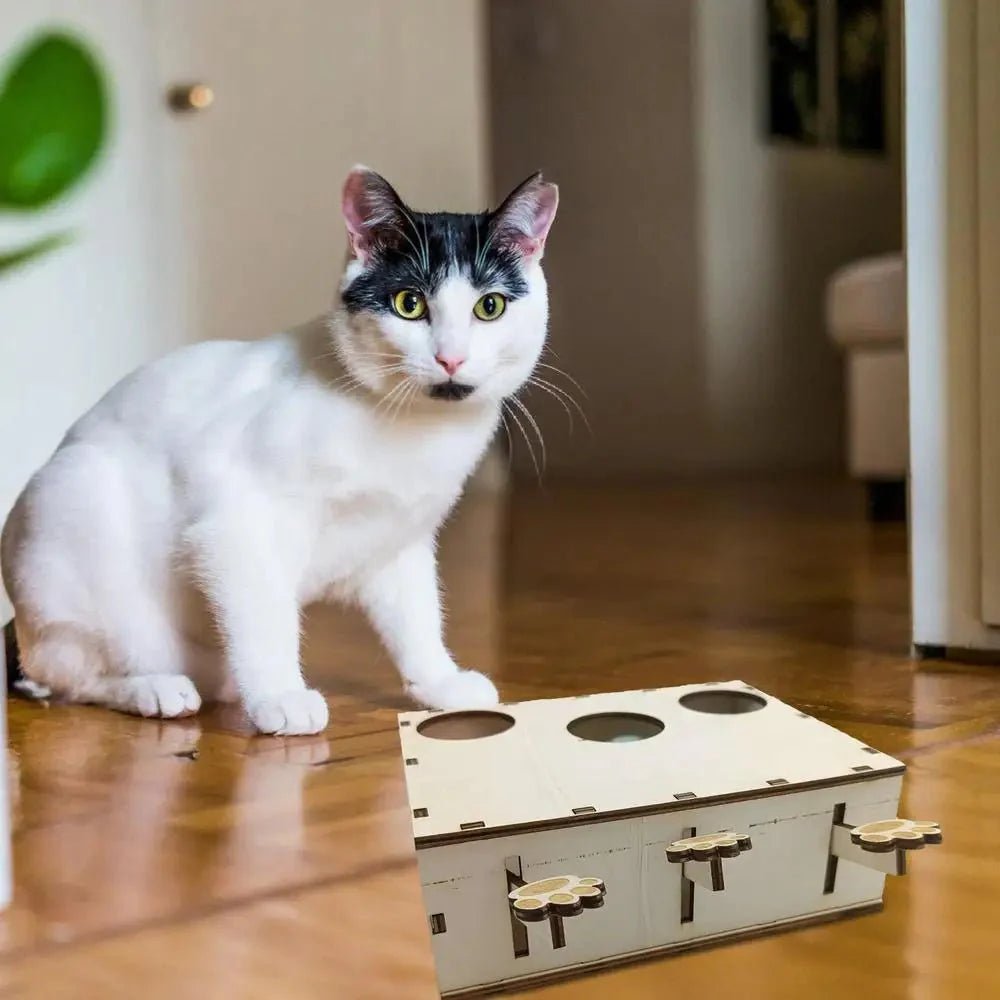 Jouet Interactif Chat - CatWhack™ - Coin du Matou