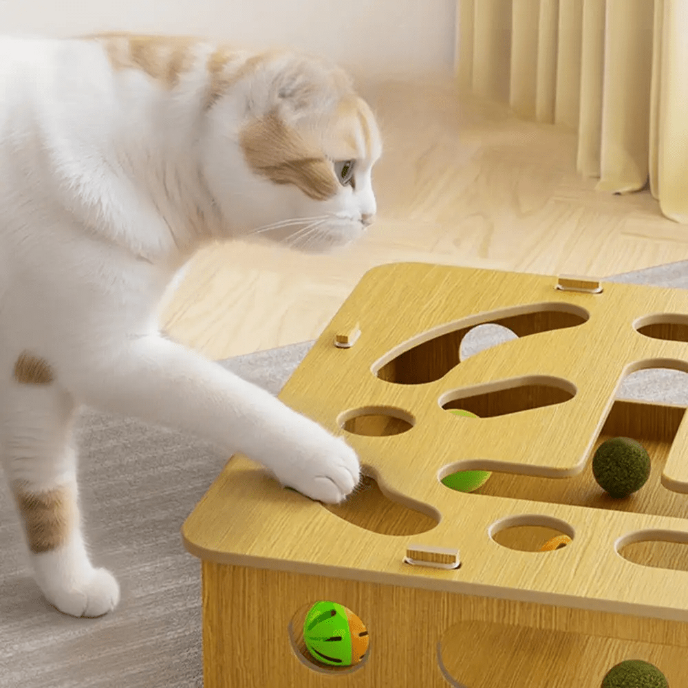 Jouet pour chat - CatPuzzleToy™ - Coin du Matou