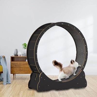 Roue Chat - KittyTread™ - Noir - Coin du Matou
