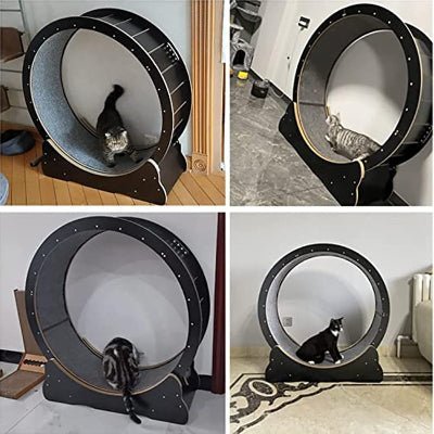 Roue Chat - KittyTread™ - Noir - Coin du Matou