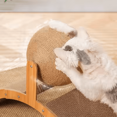Griffoir pour Chat - Scratch&PlayCatBoard™ - Arc - Coin du Matou