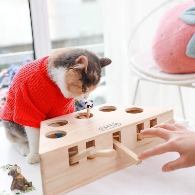 Jouet Interactif Chat - PawHunter™ - 5 Trous - Coin du Matou