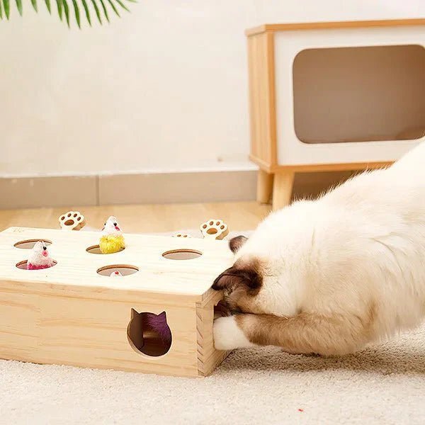 Jouet Interactif Chat - WoodMole™ - Coin du Matou