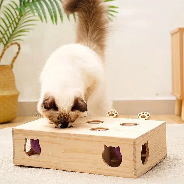 Jouet Interactif Chat - WoodMole™ - Coin du Matou