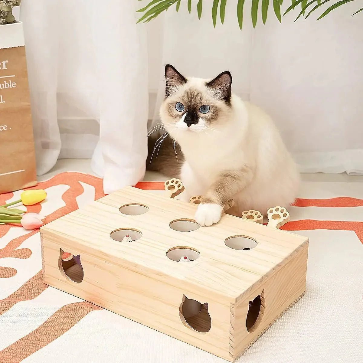 Jouet Interactif Chat - WoodMole™ - Coin du Matou